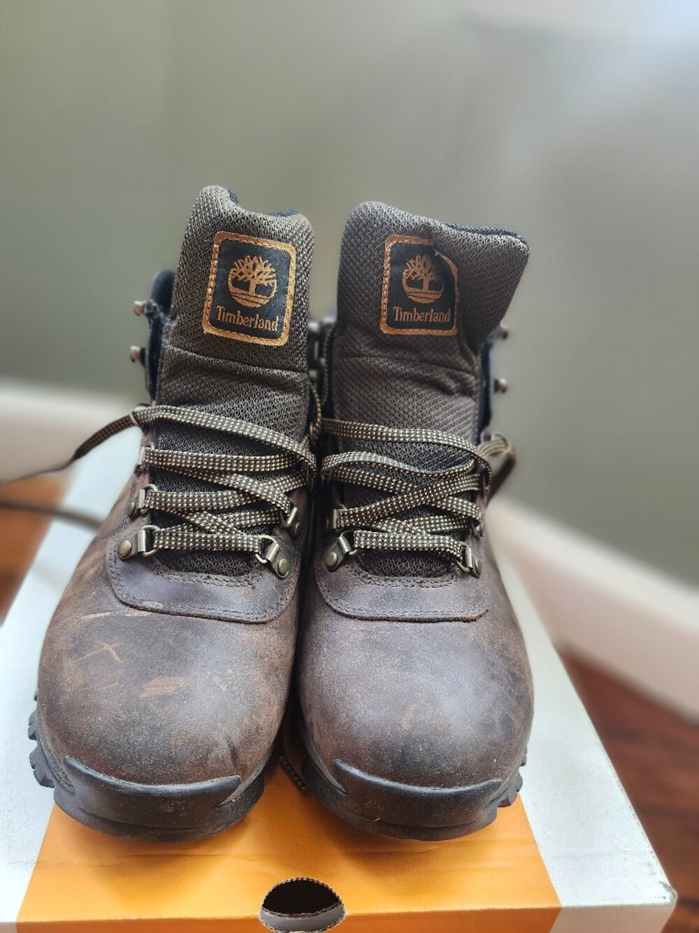 Timberland Mt. Maddsen Hiking Boot - Men's